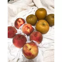 愛羽 仁美
