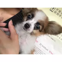 ティナ
