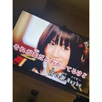 司