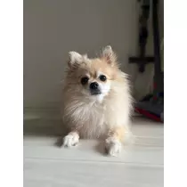 神崎 りょう