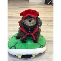 林檎