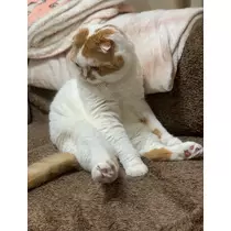 れみ
