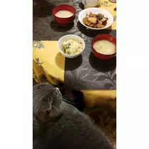 りか