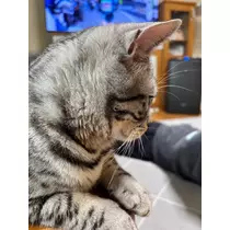あーだこーだそら
