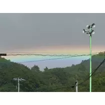 檀 れん