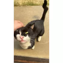 水田 まり