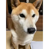 みり
