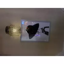 ぱんだ ちゃん