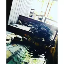 ゆかり