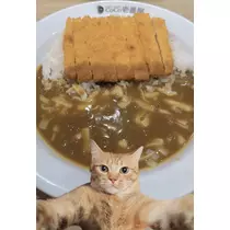♡15♡