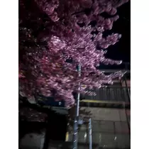 えみ