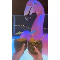 ふうか