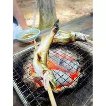 さくら