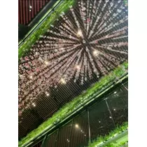 空条 しいな