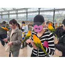 あいら