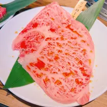 向日葵 ひまり
