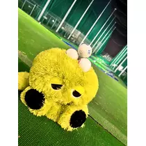 びび