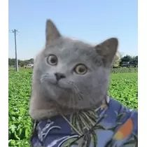 にこ