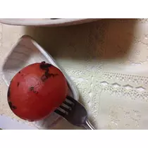 蓮見 リア