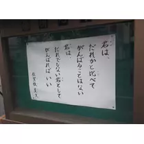 美穂