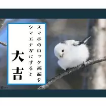 ひな