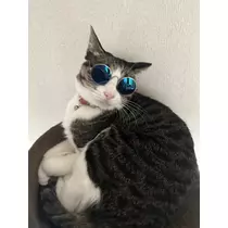 ユズ