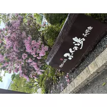 あや