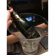 白石 愛莉