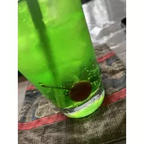すみれ