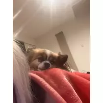 あいら