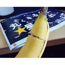ひな