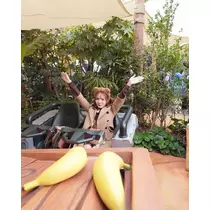 アリス
