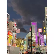 佐倉 里緒
