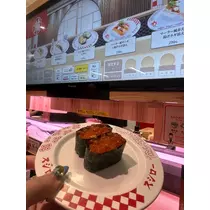 ヒカリ