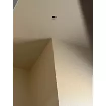 カノン
