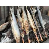 香川 ゆい