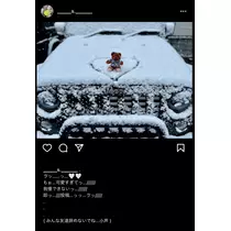 紗貴