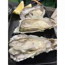 七星 夏純