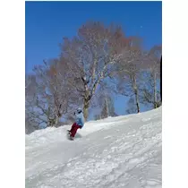 ももこ
