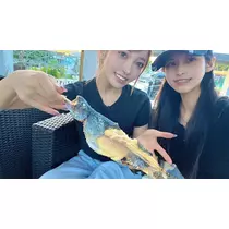 あおい
