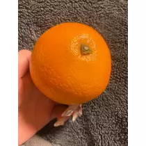 ふゆな