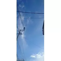 千兎 ちひろ