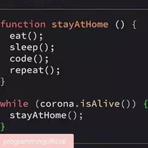 ニカ