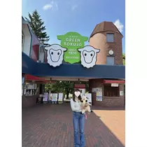 まな