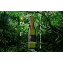 白石 愛莉