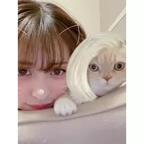 あおい