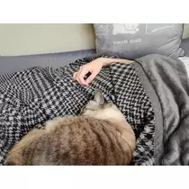 ひな