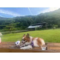 あいら