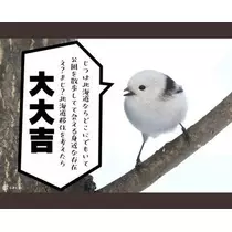 ひな