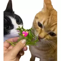 薫